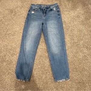 American Eagle Outfitters Women's Straight Leg Blue Jeans